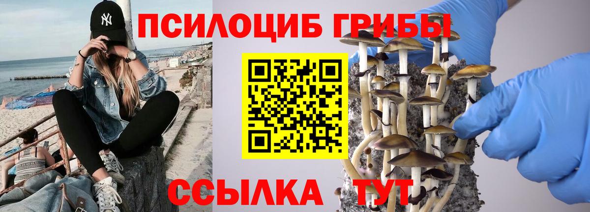 Псилоцибиновые грибы ЛСД Саратов